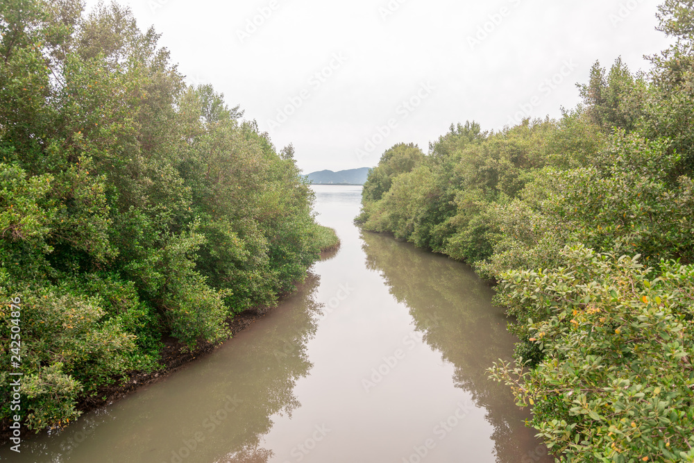 Panoramic view of a river mouth near the sea at the Campeche Beach, in Florianopolis, Brazil.