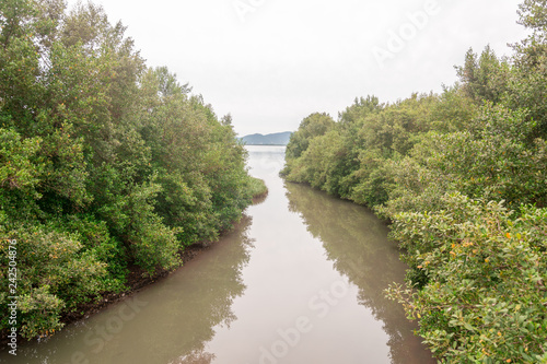 Panoramic view of a river mouth near the sea at the Campeche Beach  in Florianopolis  Brazil.