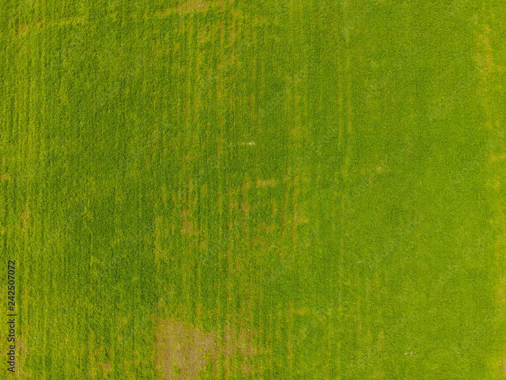 Obraz premium Field from altitude