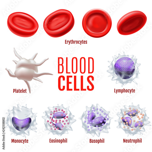 Blood Cells Set in Realistic Style