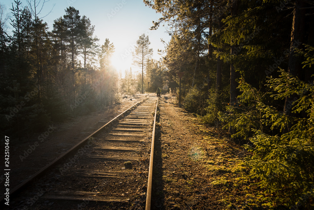 Sunny tracks Sunny tracks