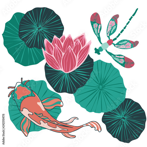 Top view of a Koi fish or Asian carp swimming in a waterlily pond with a dragonfly flying overhead. Vector