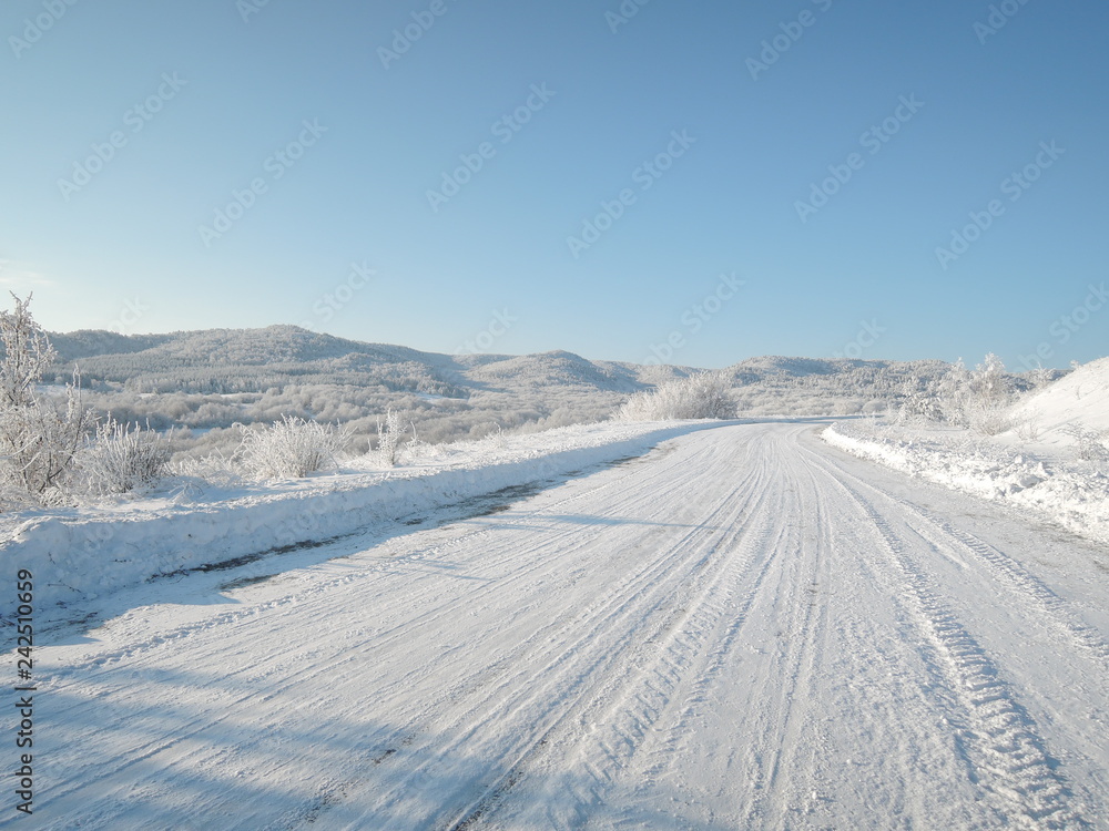 winter road and trees with snow and alps landscape