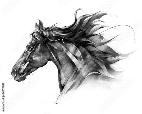 Платно sketch side portrait of a horse profile on a white background