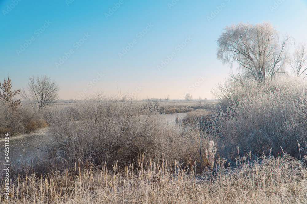Meadows, bushes and trees covered with frost. Fabulous Winter landscape Meadows, bushes and trees covered with frost. Fabulous Winter landscape