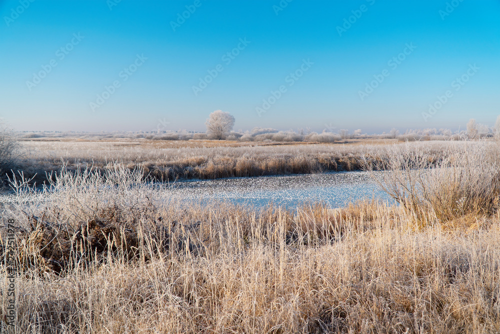 Meadows, bushes and trees covered with frost. Fabulous Winter landscape