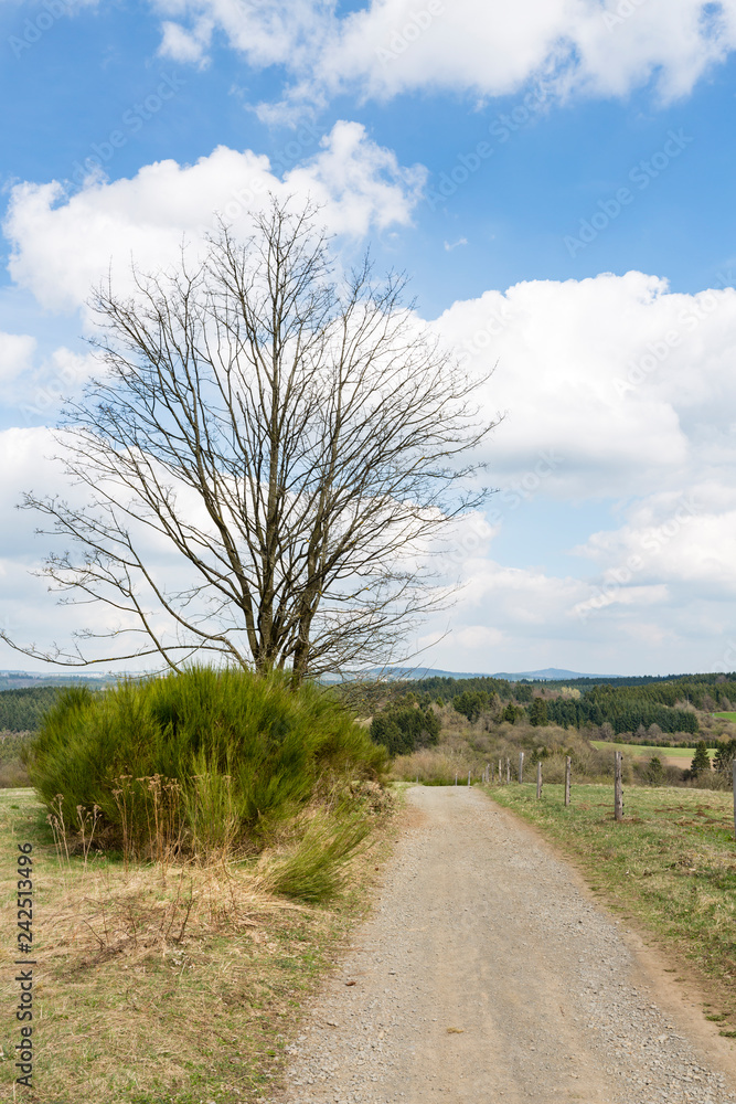 Dirt Road And Southern Eifel Landscape, Germany Dirt Road And Southern Eifel Landscape, Germany