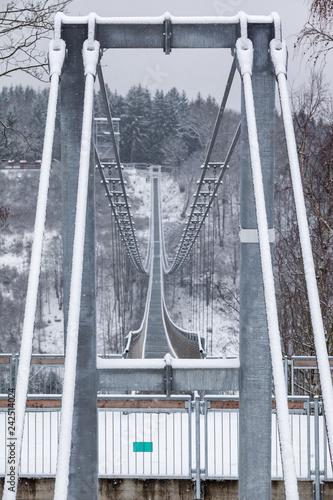 Blick auf die Hängebrücke im Harz photo