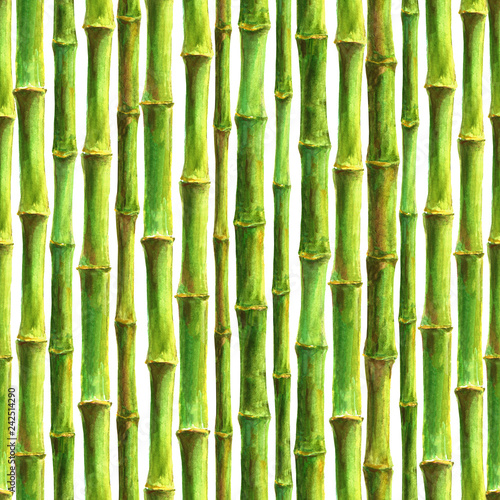Fototapeta Naklejka Na Ścianę i Meble -  Bamboo stems seamless pattern on white background. Watercolor hand drawn green botanical illustration