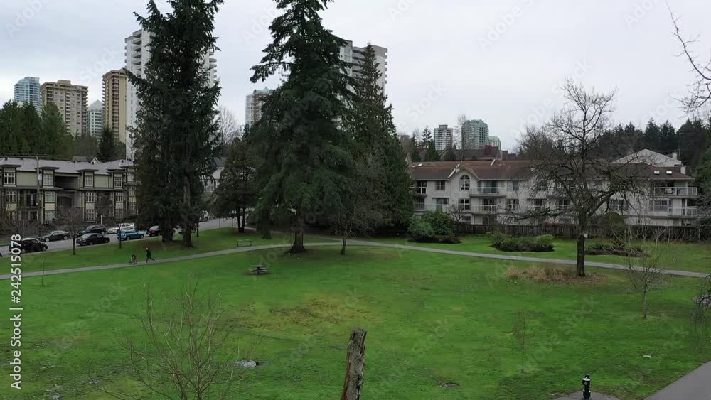 A perfect neighbourhood. Houses in suburb at Summer in the north America. Luxury houses with nice landscape. Aerial drone view. A perfect neighbourhood. Houses in suburb at Summer in the north America. Luxury houses with nice landscape. Aerial drone view.