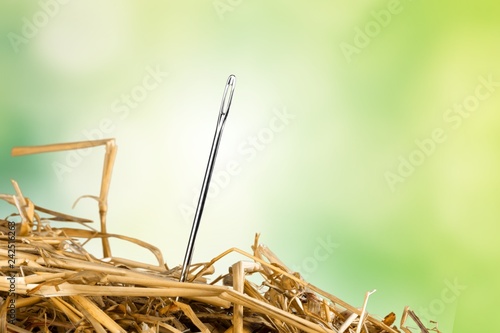 Close up of  Needle in  haystack on background