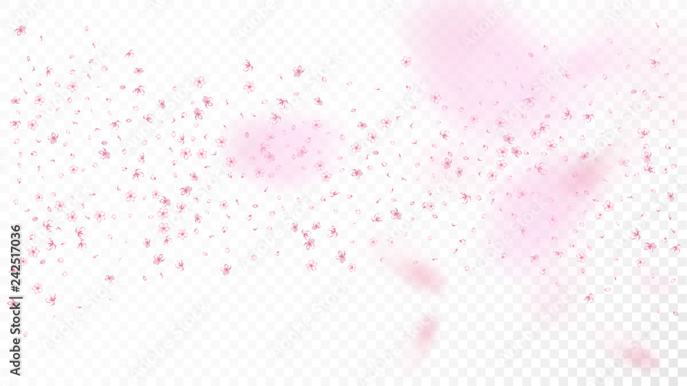 Nice Sakura Blossom Isolated Vector. Spring Showering 3d Petals Wedding Texture. Japanese Funky Flowers Wallpaper. Valentine, Mother's Day Spring Nice Sakura Blossom Isolated on White