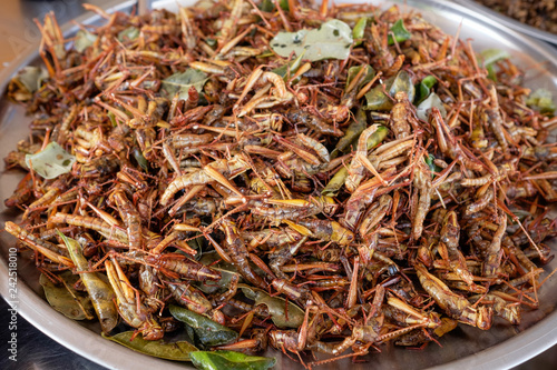 Fried grasshoppers at a market in Thailand.