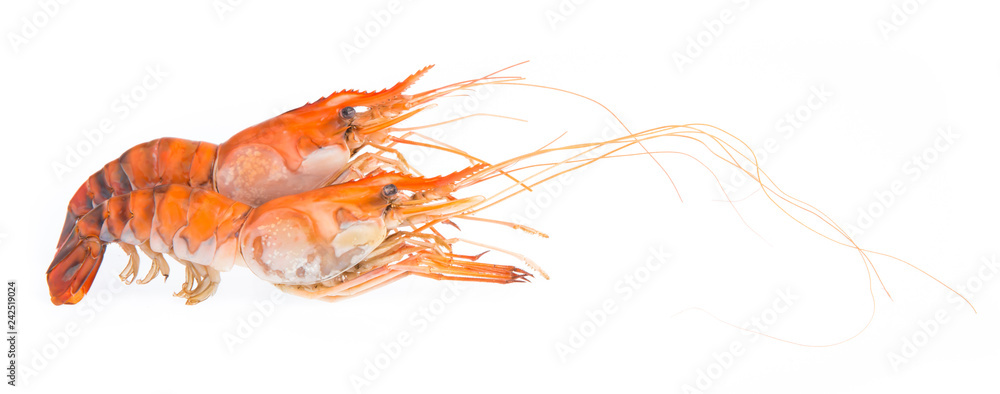 Shrimp push nets hi-res stock photography and images - Alamy