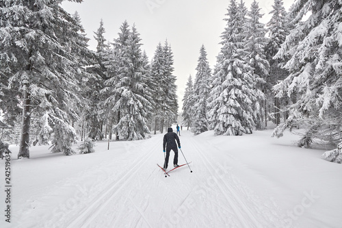 Obraz na plátně Cross-country skiers on trail after heavy snowfalls, Jakuszyce, Poland