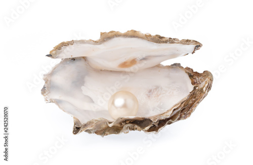Open oyster with pearl isolated on white background