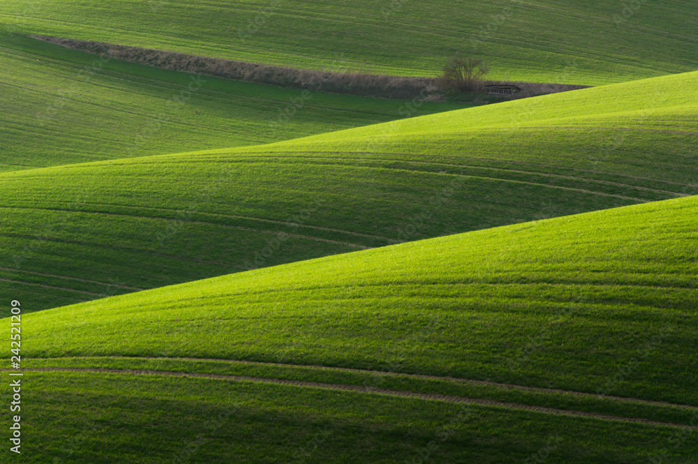 Moravian Tuscany landscape. Fields and meadows in South Morava, Czech republic. Wavy country scenery at sunset.