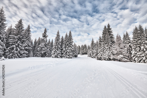 Winter landscape with cross-country skiing trails, Jakuszyce, Poland.