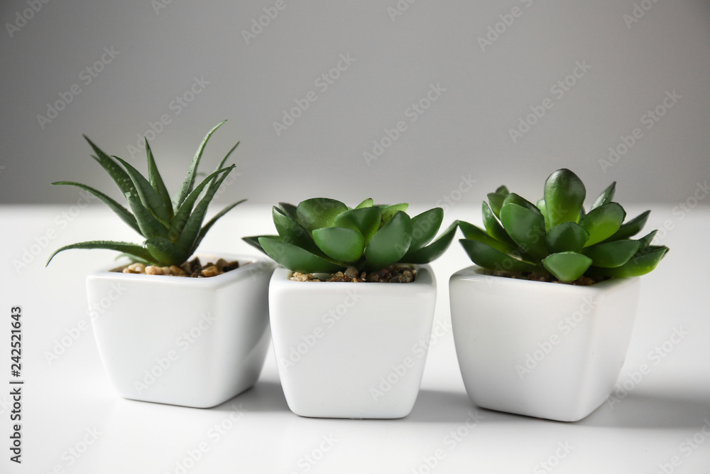 Pots with succulents on white table