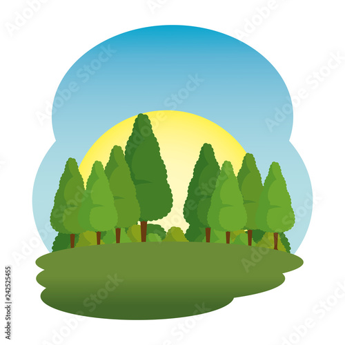 camp field landscape scene
