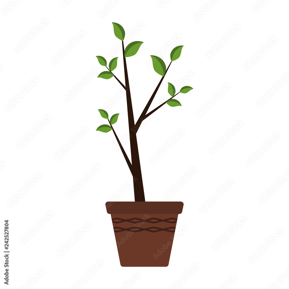 Potted Tree Houseplant Illustration - Young tree growing in terra cotta pot