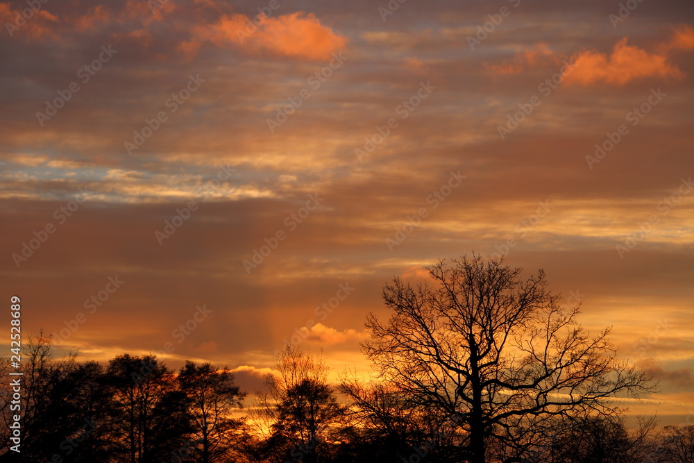 sunset in the Netherlands, orange sky beautiful clouds and bald trees sunset in the Netherlands, orange sky beautiful clouds and bald trees