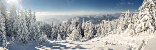 Idylic winter panorama photo