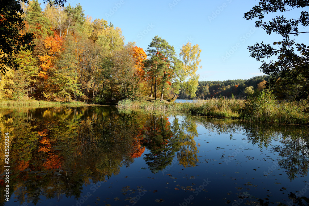 Autumn landscape with colorful forest and lake