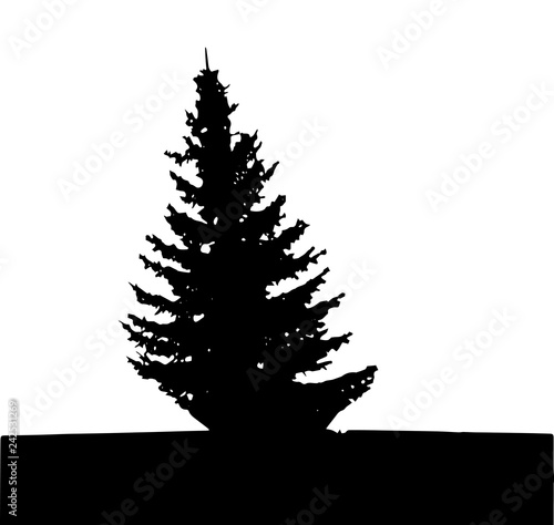 Tree Silhouette Isolated on White Backgorund. Vecrtor Illustration.