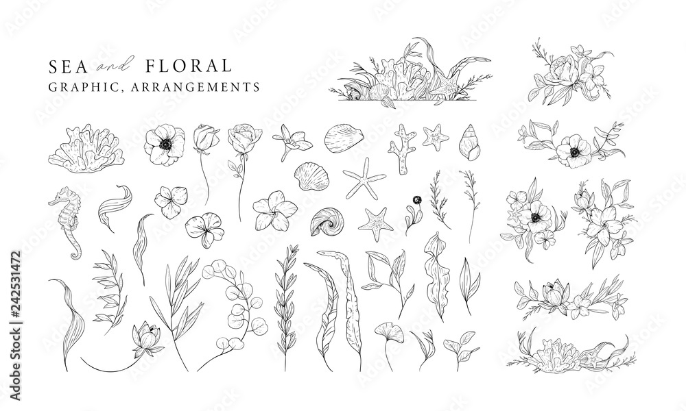 Hand drawn set of marine elements isolated on white. Sea and floral graphic and arrangements. Vector illustrations.