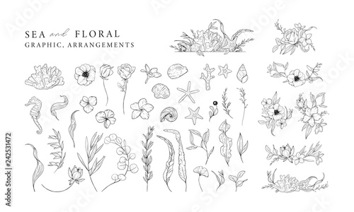 Hand drawn set of marine elements isolated on white. Sea and floral graphic and arrangements. Vector illustrations. © twins_nika