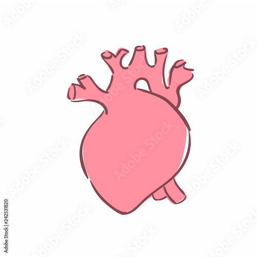 Illustration of a human heart