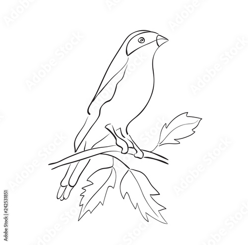 bird sit on branch - vector silhouette