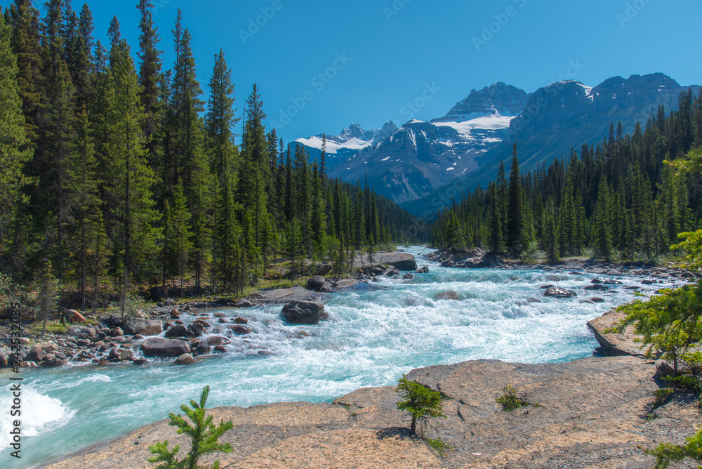 Canada forest landscape with big mountain in the background and the river  flowing at Mistaya Canyon, Alberta Stock Photo | Adobe Stock