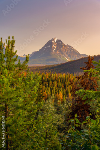 Canada forest landscape with big mountain in the background