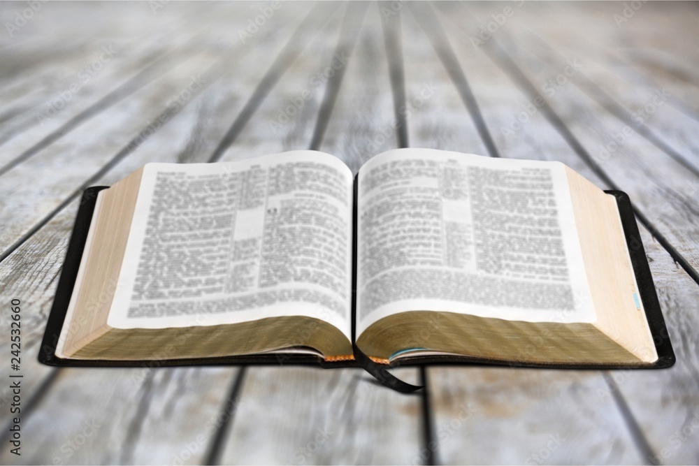 Obraz premium Opened big book isolated on white