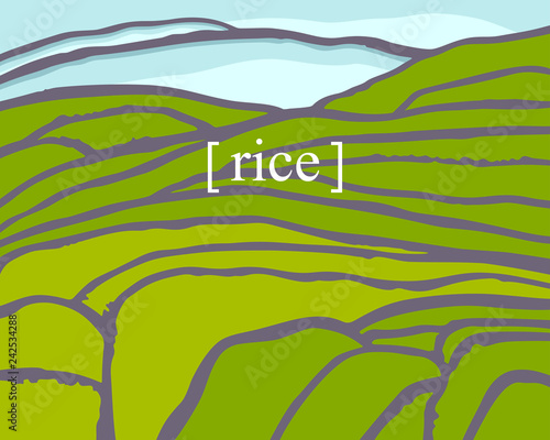 Rice plantation on cascades field. Rice title