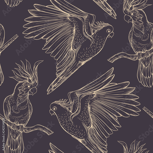 Seamless pattern, background with tropical birds
