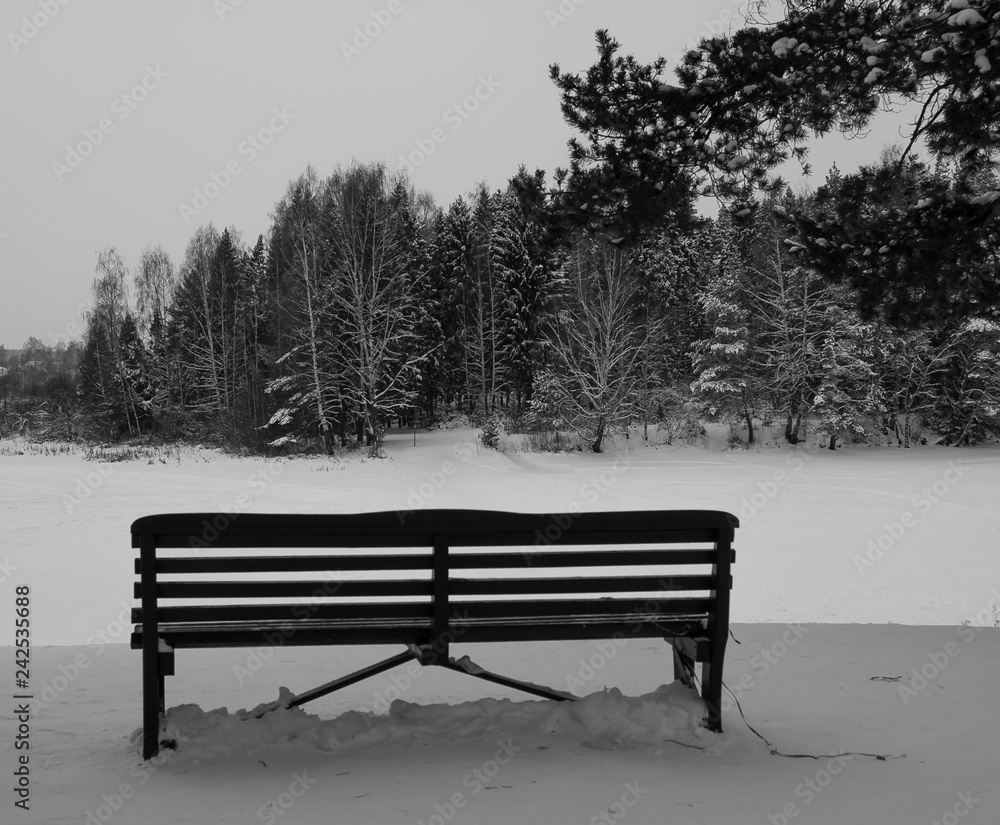 Winter landscape with a bench