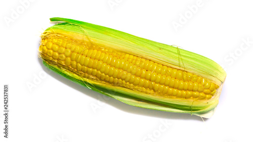 Sweet Corn On White Background