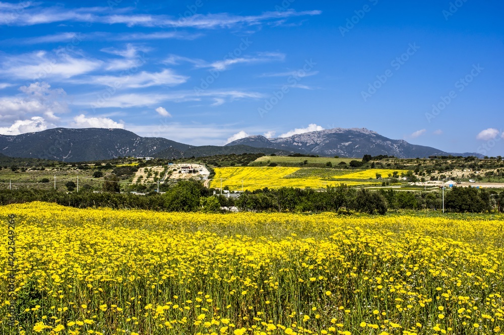 Countryside Landscaping Photography