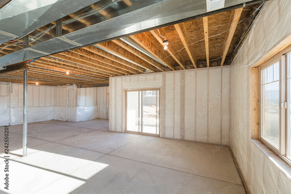 Fotografi Unfinished Basement