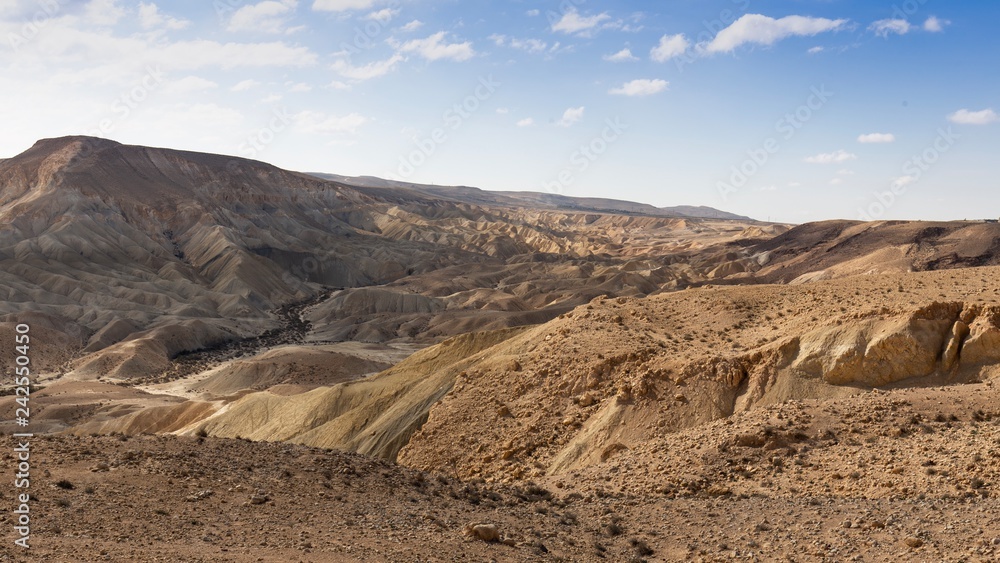 Desert Negev