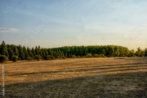 paisaje en el campo, riaza