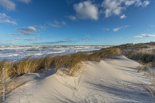 Fototapeta Naklejka Na Ścianę i Meble -  dünen am meer