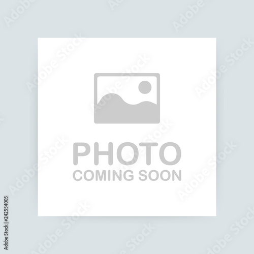 Photo coming soon. Picture frame. Vector illustration 