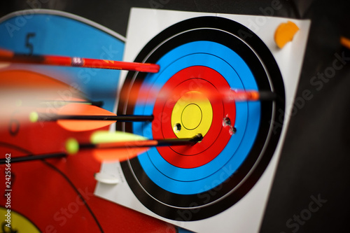 Quadro su tela Arrows from a bow accurately hit the target-2