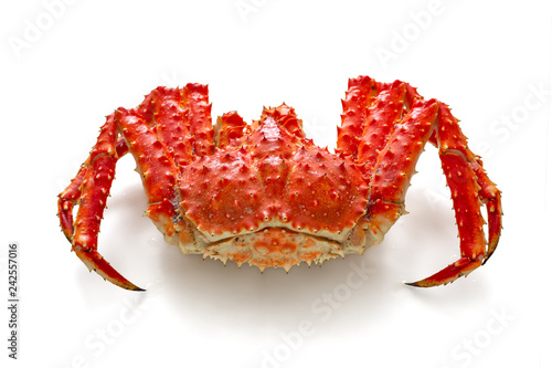 Red king crab