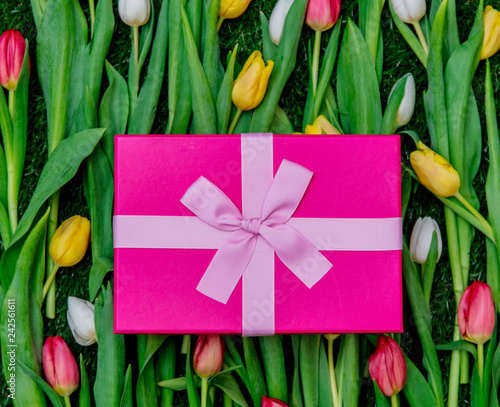 Beautiful pink gift box and tulips on green grass lawn