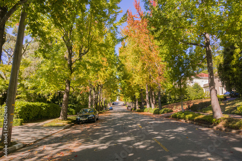 Slika na platnu Tree-lined street in a residential neighborhood on a sunny autumn day, Oakland,